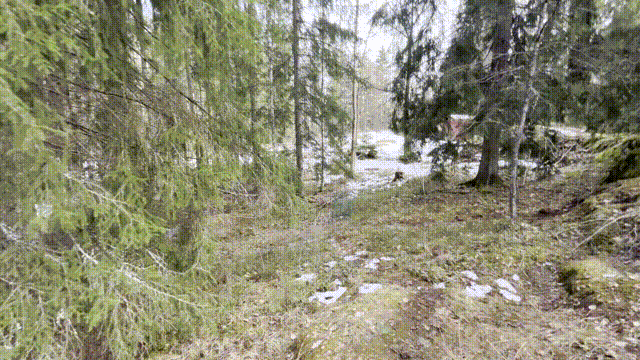 “Captured image data.